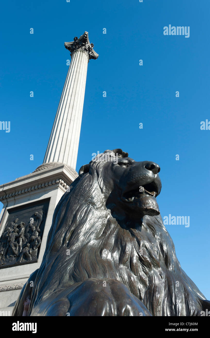 Lion statue and Nelson's column, Trafalgar Square, London, England Stock Photo