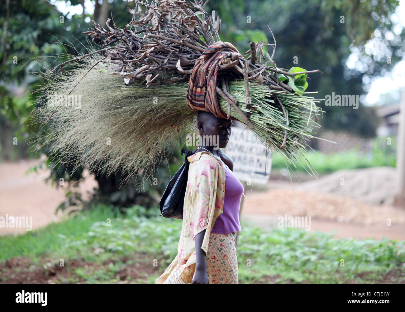 A woman carries wood and other materials through a village in the Luwero district of Uganda. Stock Photo