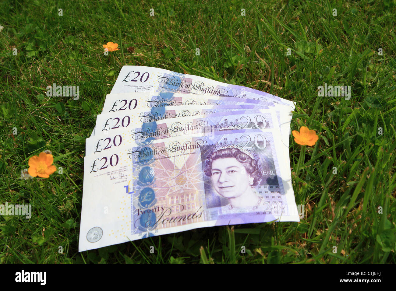 sterling notes lying on grass Stock Photo - Alamy