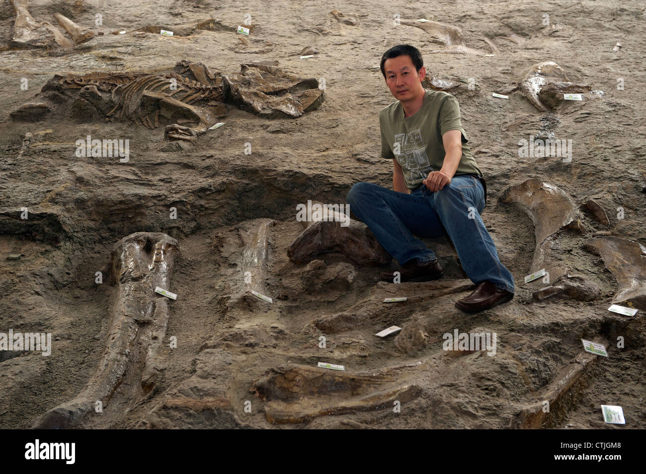Chinese palaeontologist Dr. Xu Xing poses among the remains of