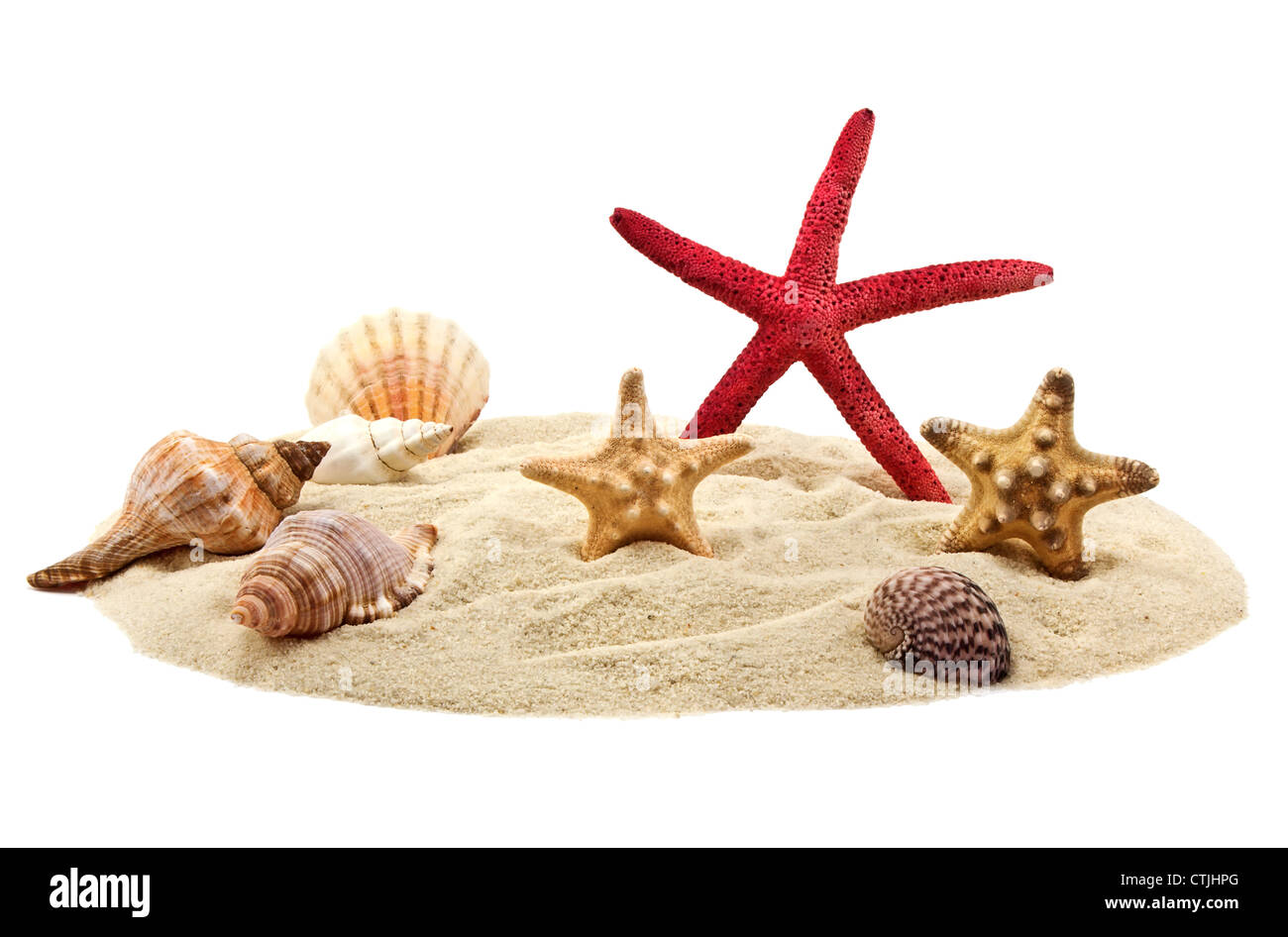 Seashells and starfish on pile of sand isolated on white Stock Photo