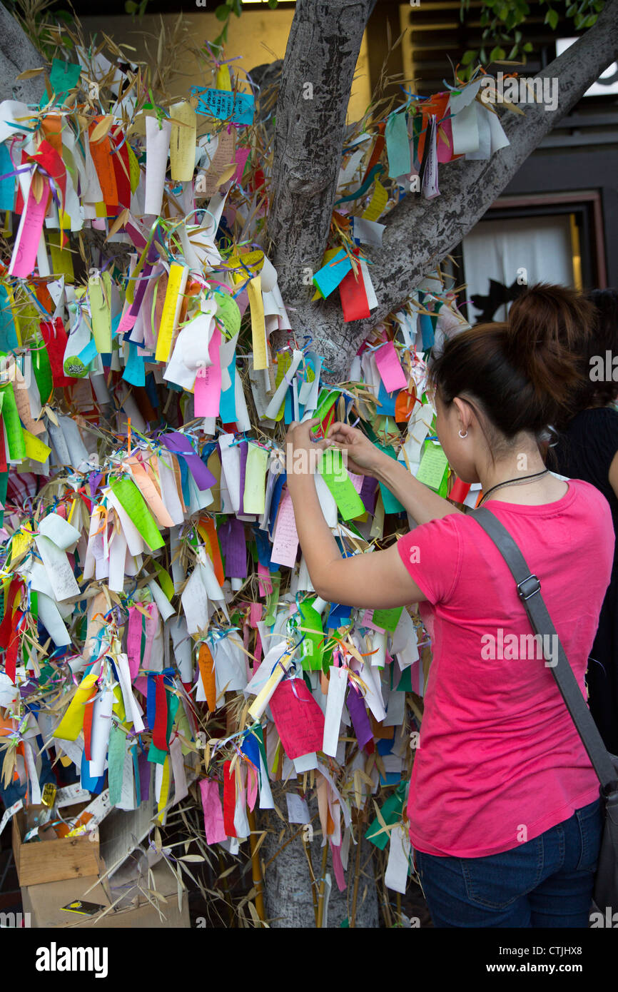 A woman adds her wish to a wishing tree in the Little Tokyo neighborhood of Los Angeles Stock Photo