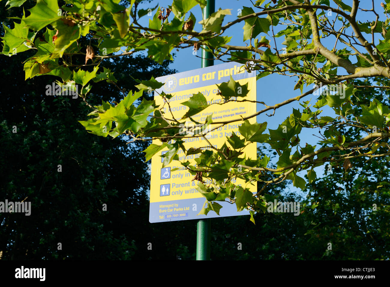 Car Park sign hidden by tree branches Stock Photo