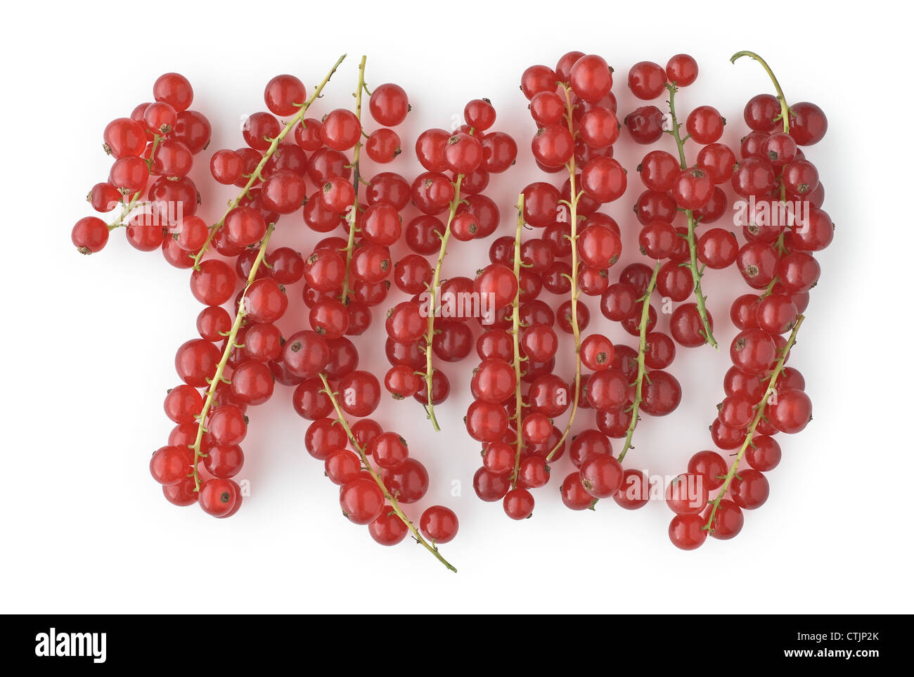 Red Currants as a Cooking Ingredient and Flavor Stock Photo Alamy