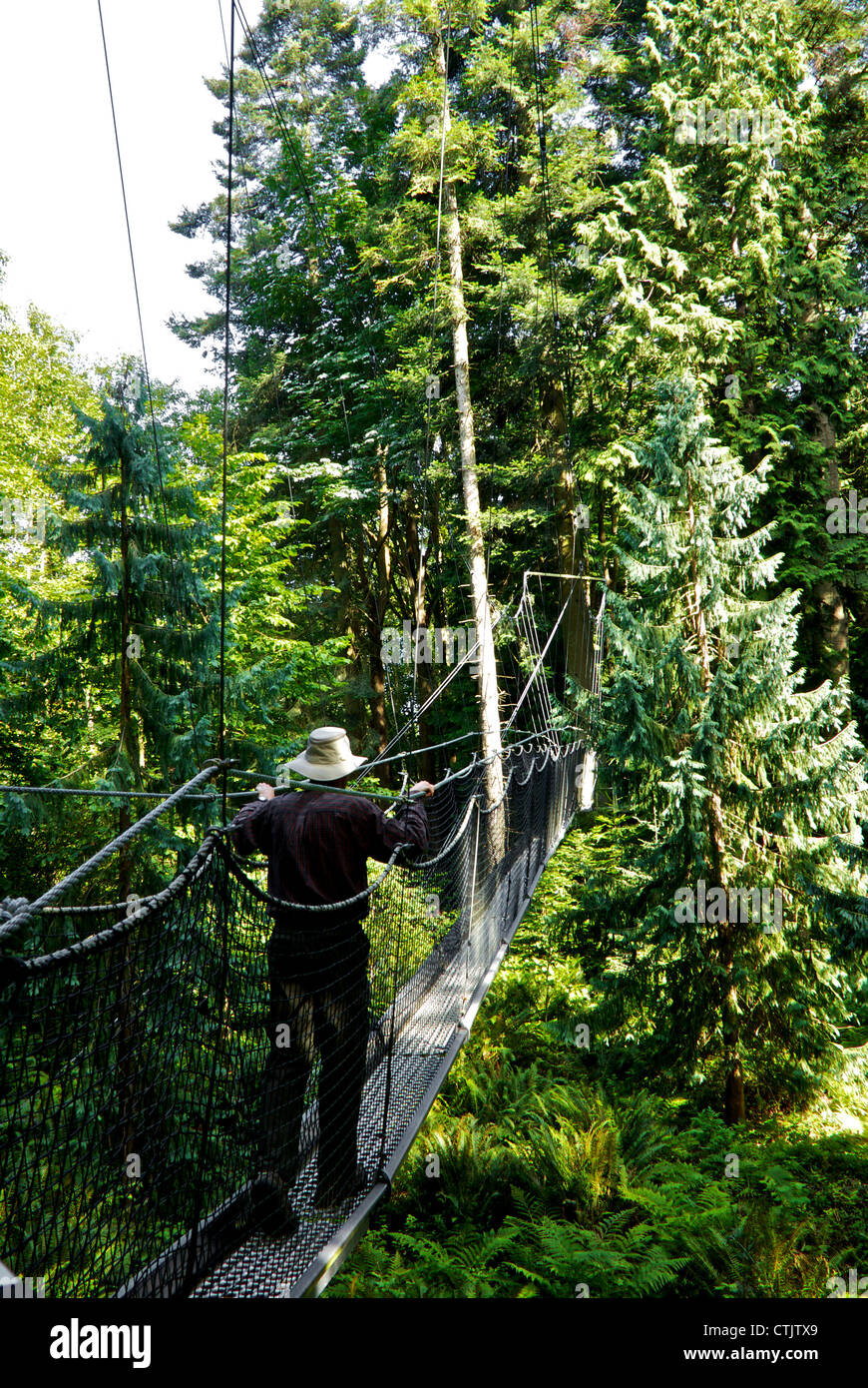 Man crossing suspended aerial tree canopy walkway UBC Botanical Garden ...