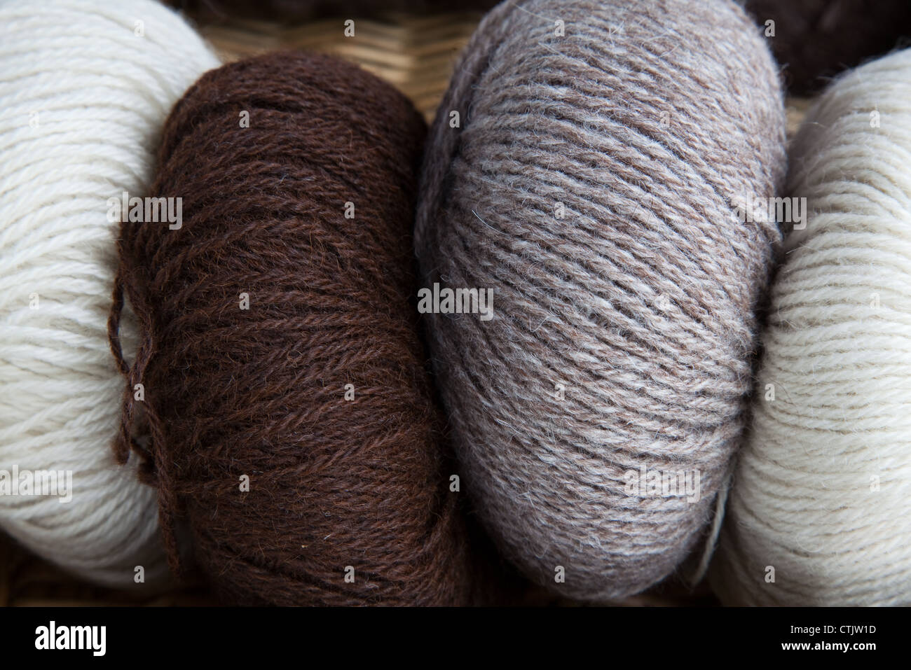 Alpaca Coloured balls of dyed wool  Wools and Woolens Stock Photo