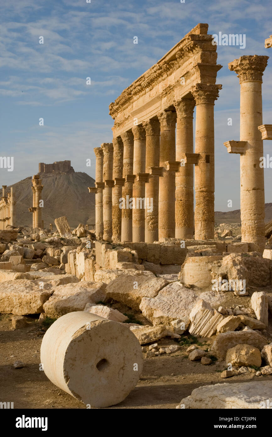 Palmyra ancient Roman site, in Syria near Damascus. Stock Photo