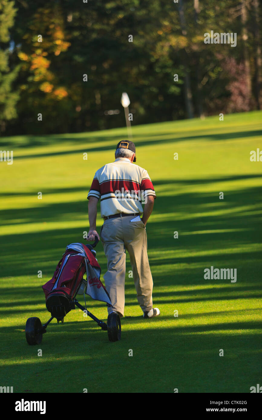 A Man Golfing At Lynnwood Golf Course; Lynnwood ,Washington, United States of America Stock Photo