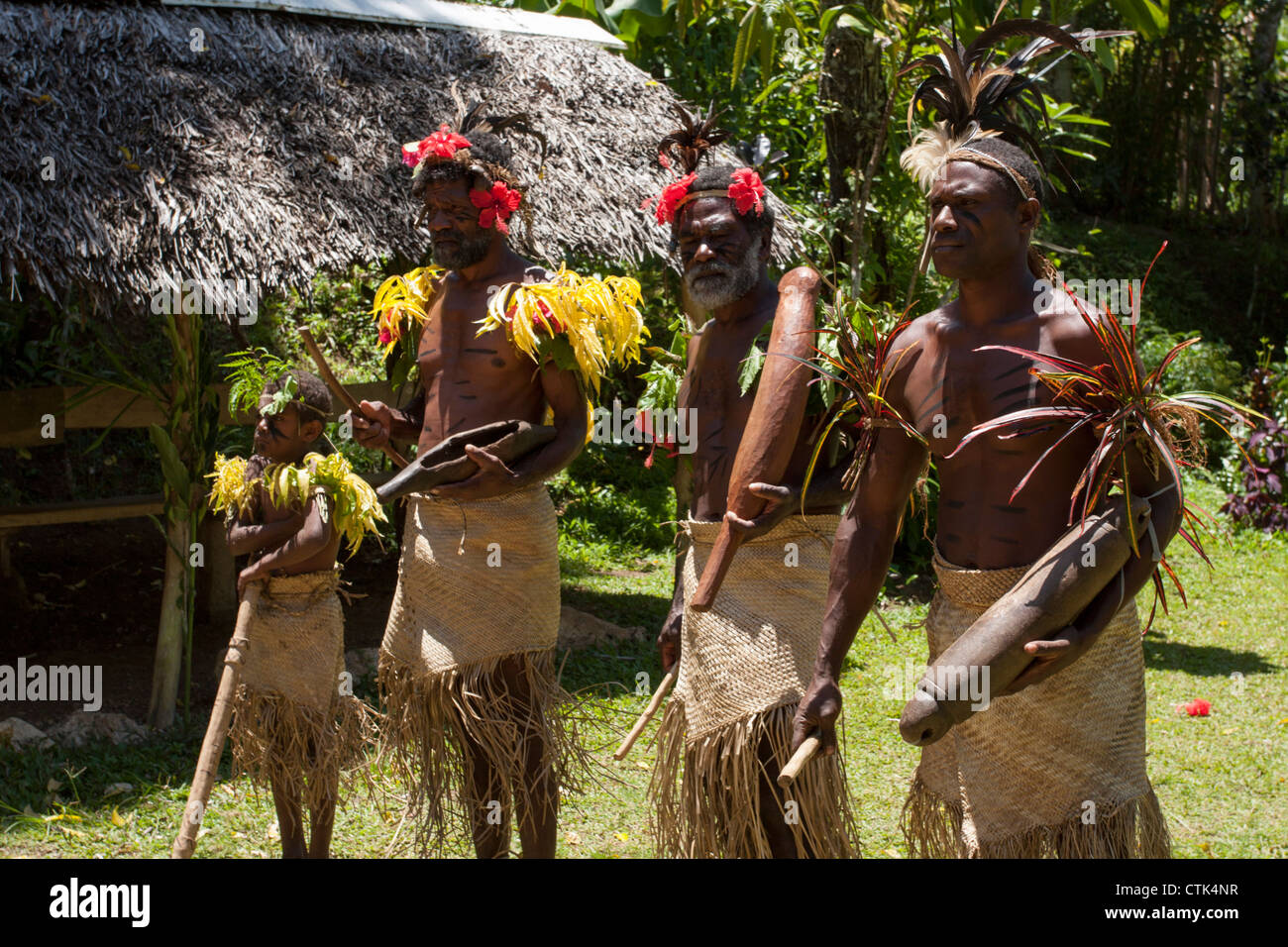 South Pacific, The Republic of Vanuatu, Shefa Provence, Epule River ...
