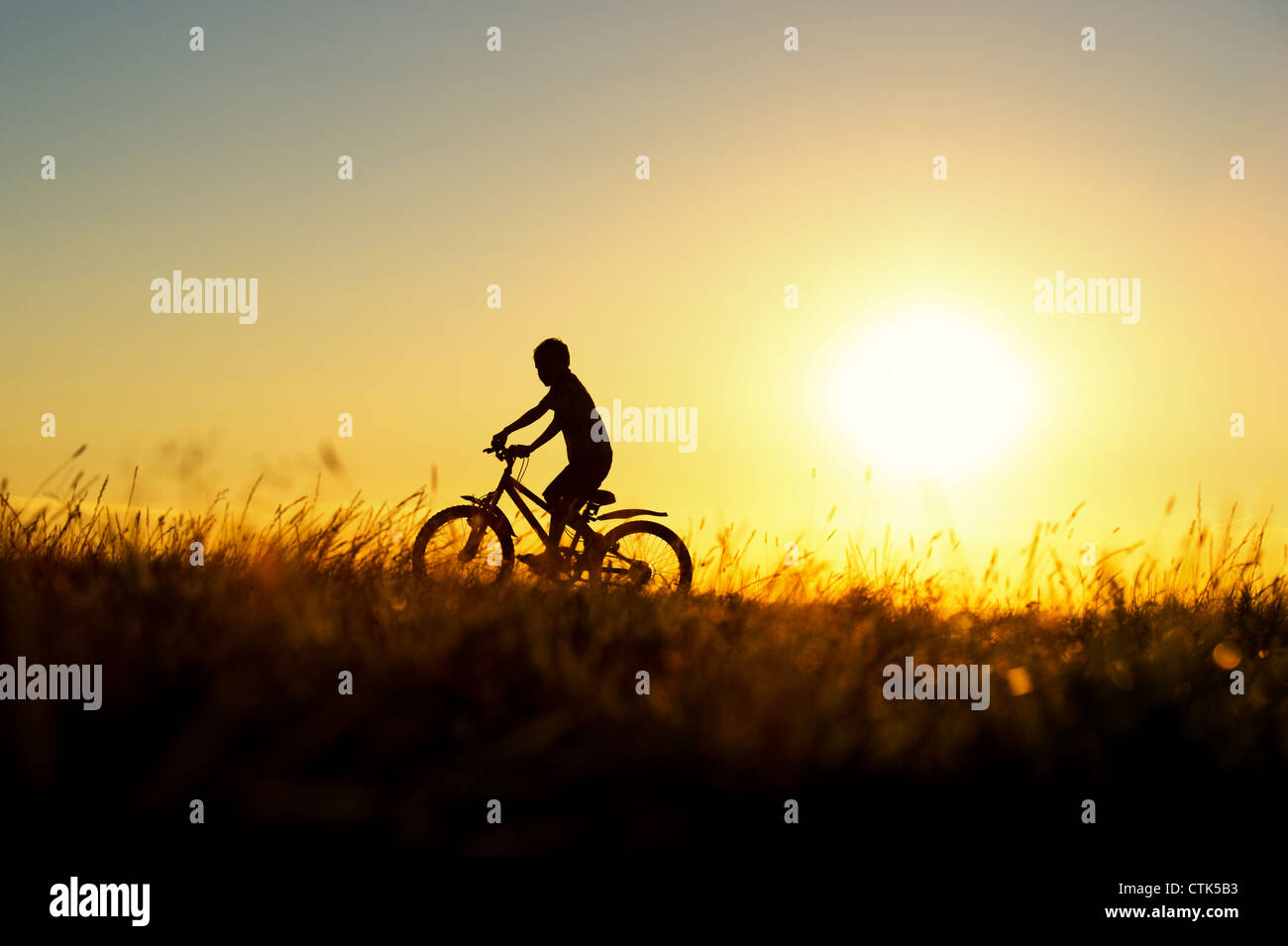 Boy riding a bicycle through grass at sunset. Silhouette. UK Stock Photo