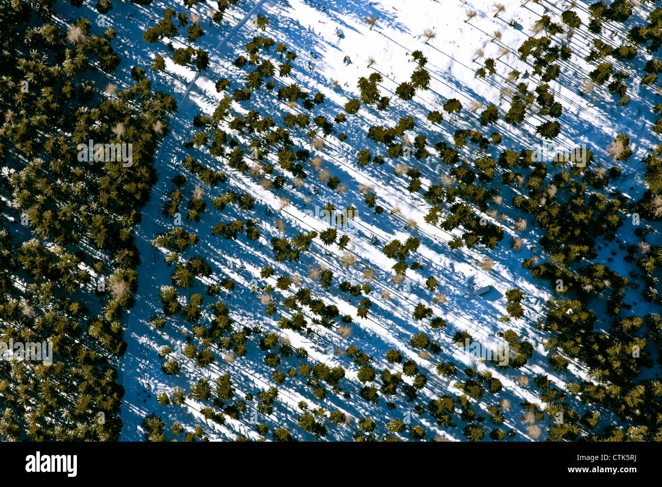 Aerial view forest hi-res stock photography and images - Alamy