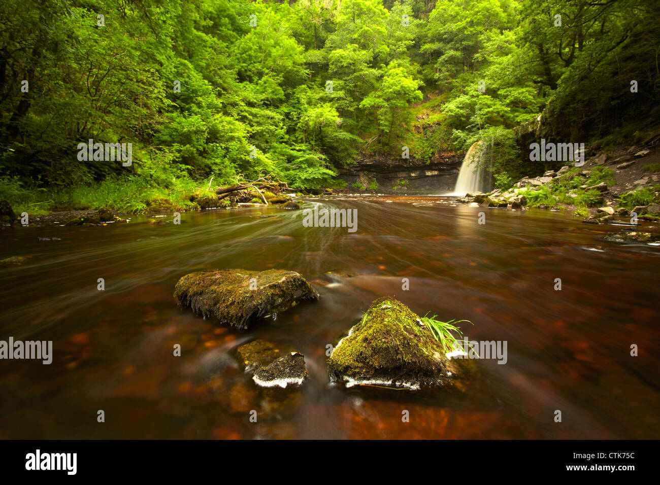 Sgwd Gwladys (Lady Falls) on the river Pyrddin, Neath Valley, Brecon Beacons, Wales. Stock Photo