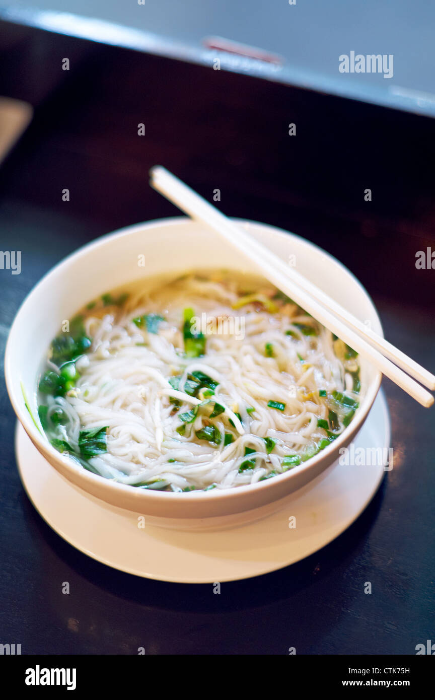 A fresh warm bowl of Pho, a traditional Vietnamese noodle soup dish