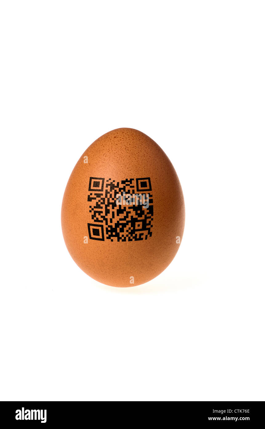 egg with qr code Stock Photo