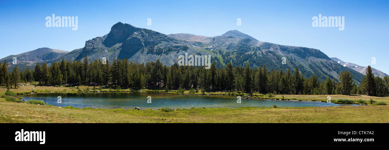 Beautiful panoramic view of Yosemite national park in California - USA Stock Photo