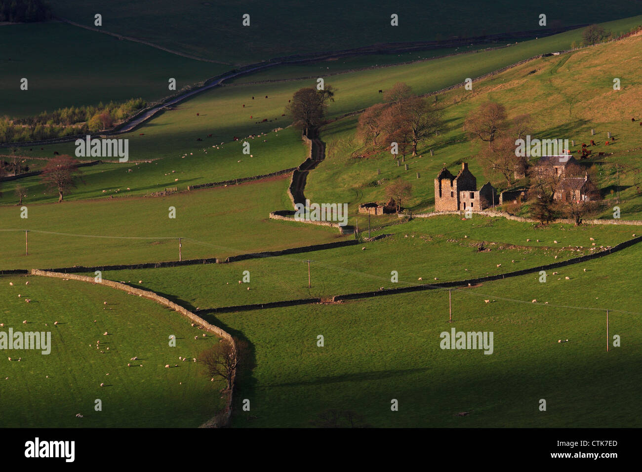 Derelict Farmhouse above Galashiels, Scottish Borders Stock Photo Alamy