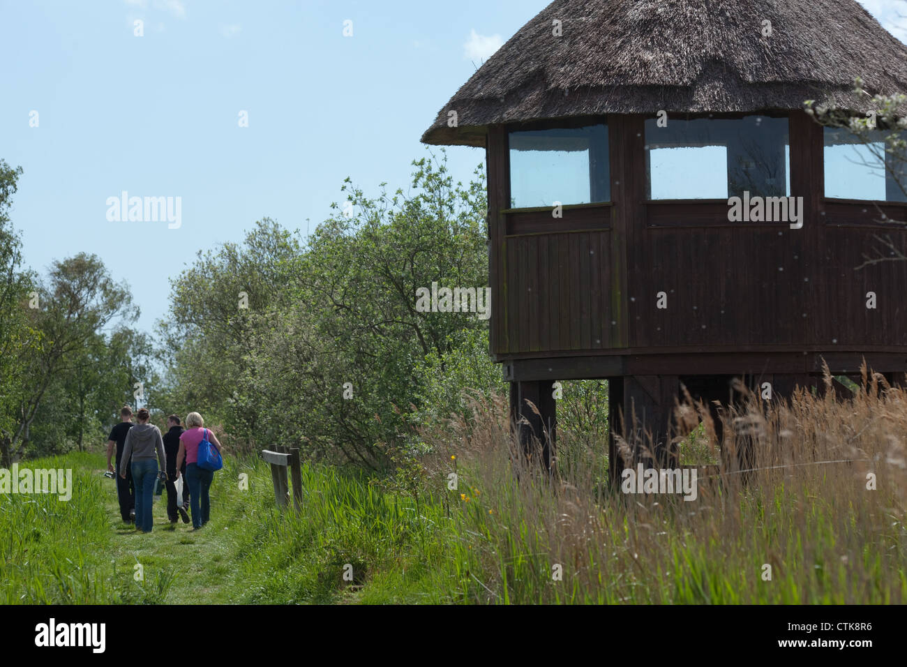 Norfolk Wildlife Trust. Hickling Broad, NNR, Norfolk. Largest of the broads. Visitors on a walkabout trail. Norfolk Reed Hide. Stock Photo