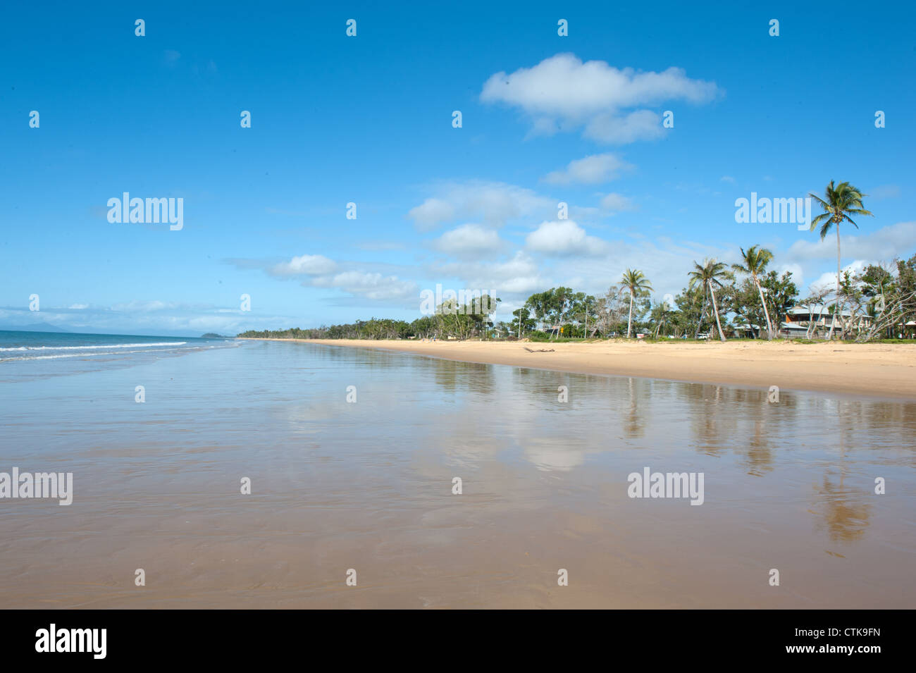 Looking south at sandy, palm-fringed Wongaling beach of Mission Beach, Cassowary Coast, Queensland, at low tide. Stock Photo