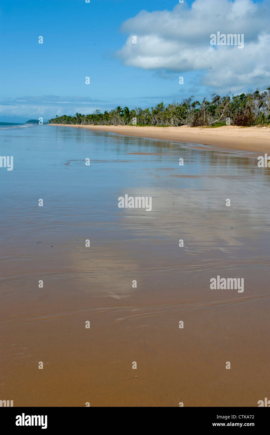 Palmfringed Wongaling Beach of Mission Beach on Cassowary Coast at Far