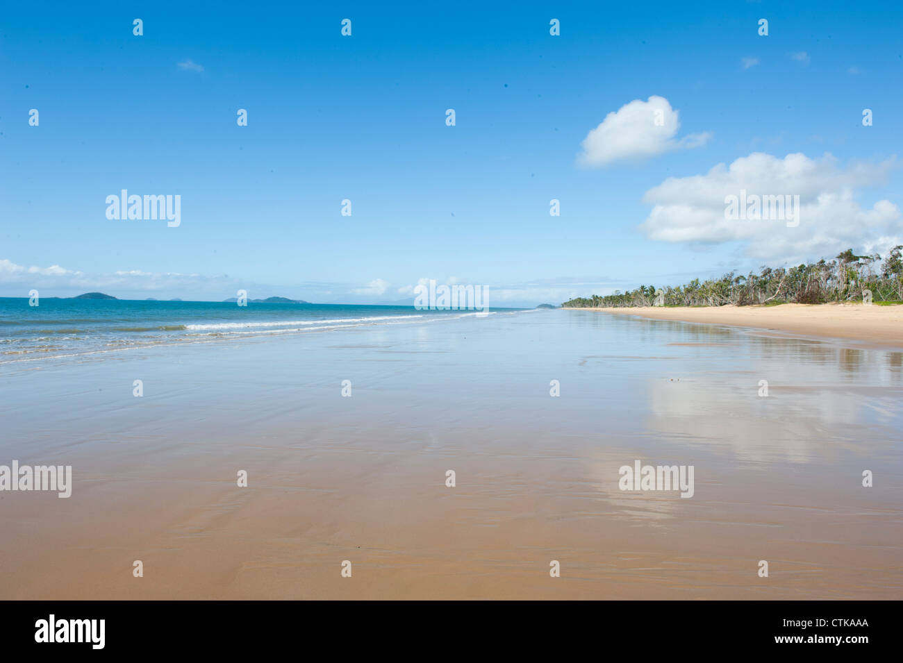 Palmfringed Wongaling Beach of Mission Beach on Cassowary Coast at Far