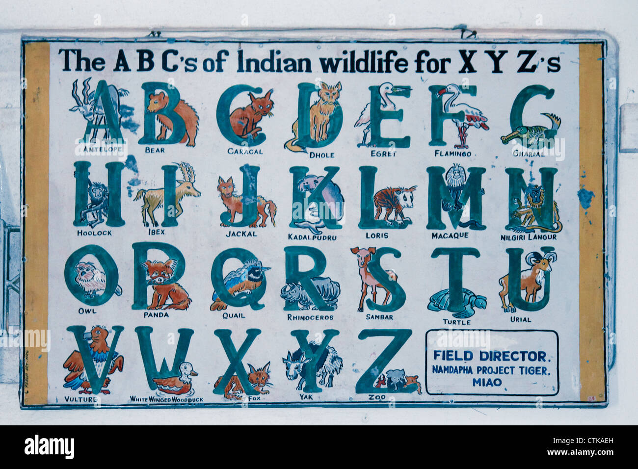 alphabet with animals Stock Photo