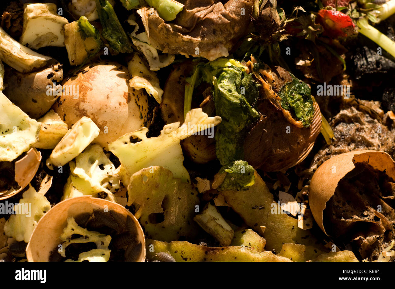 Household food waste to be composted Stock Photo Alamy