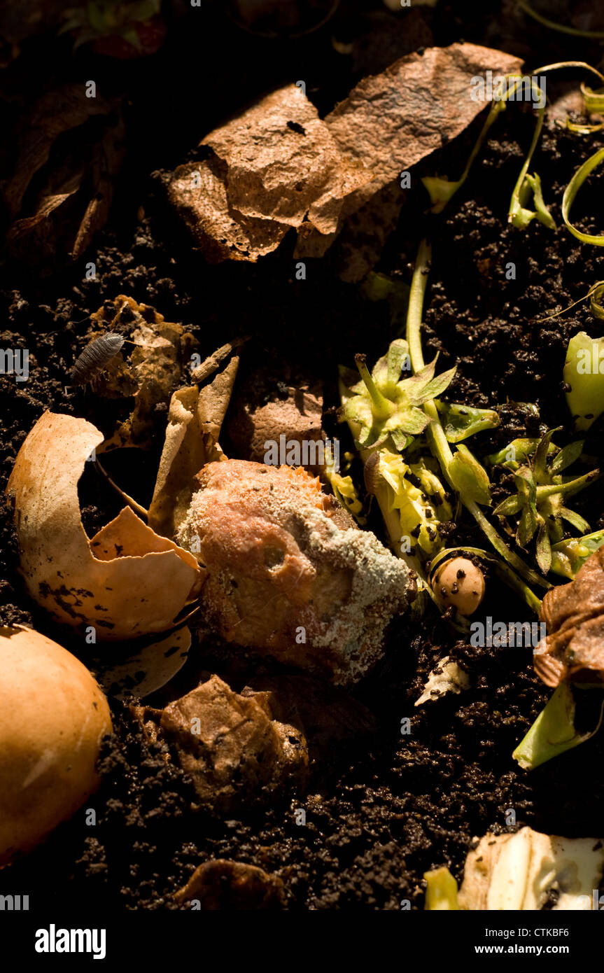 Household food waste to be composted Stock Photo Alamy