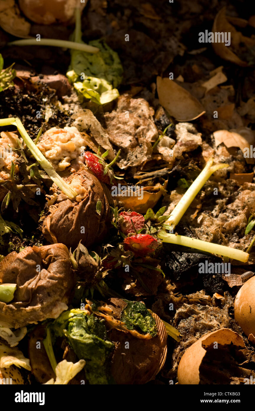 Household food waste to be composted Stock Photo Alamy