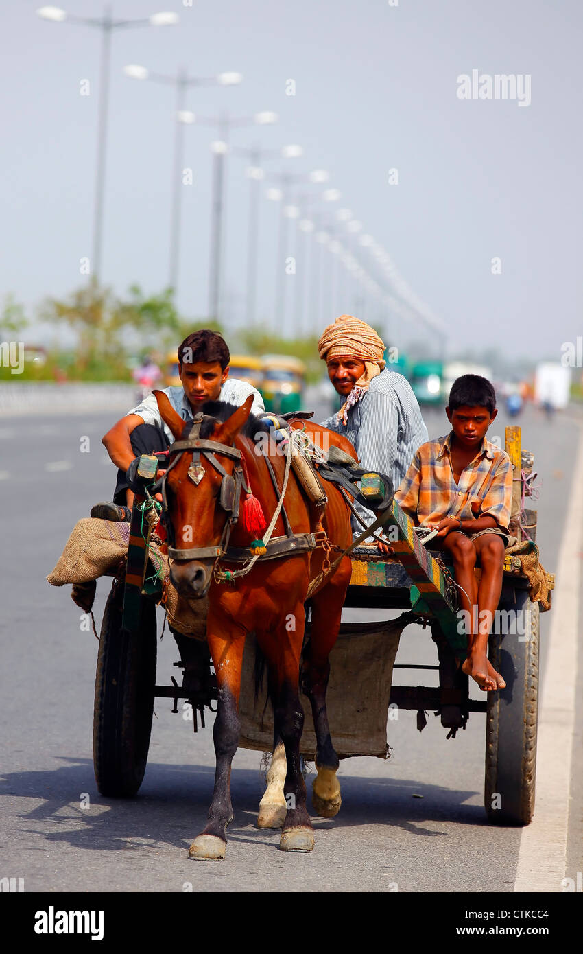 Horse cart on road Stock Photo Alamy