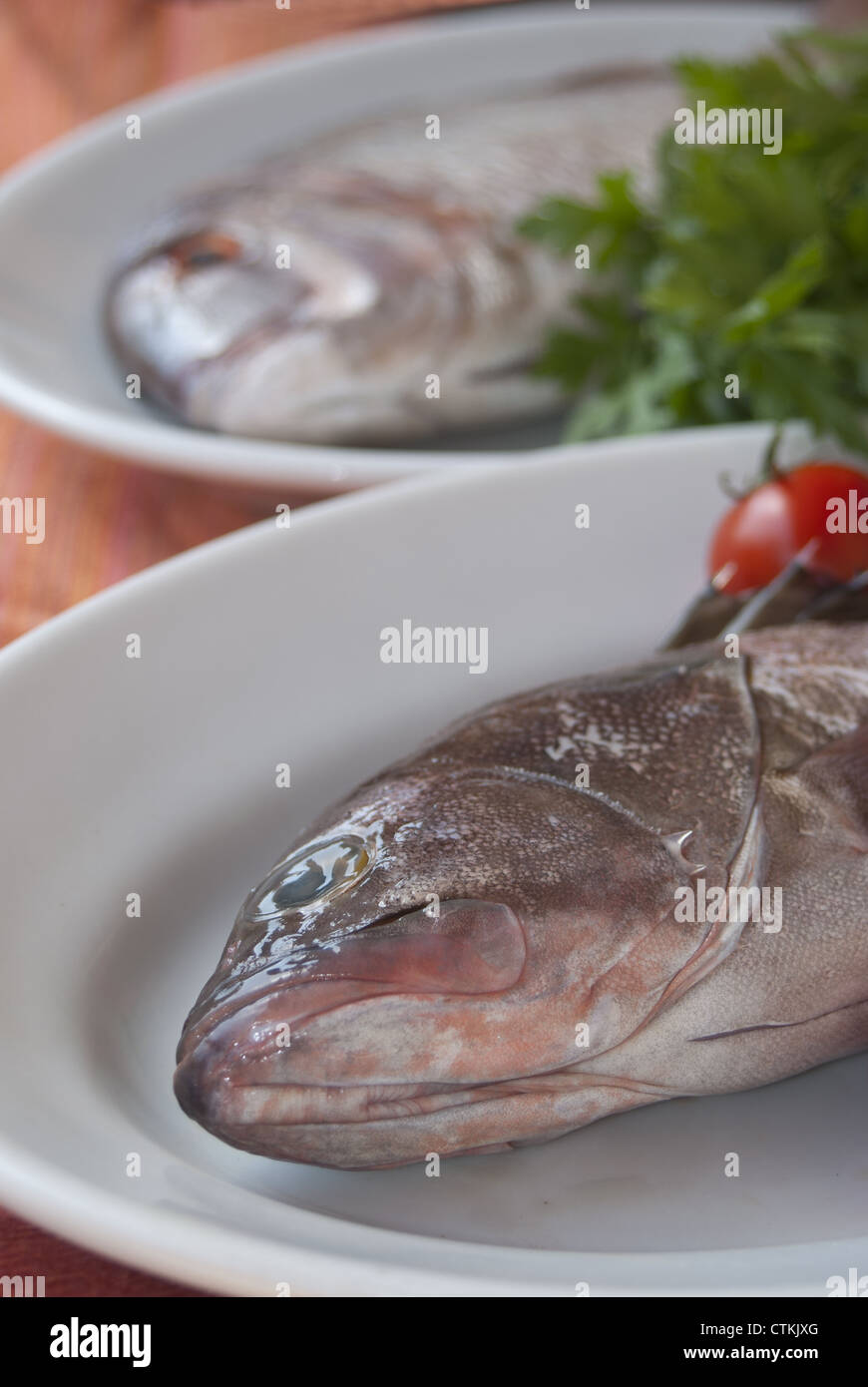 grouper-and-dentex-baked-with-tomatoes-delicious-fish-of-the-italian