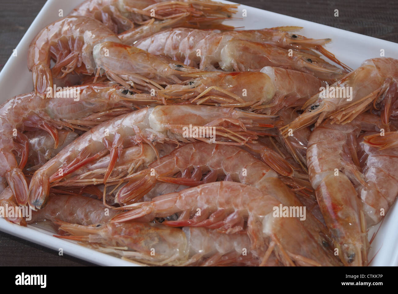 crustacea. king prawns, typical course of the Italian cuisine Stock Photo