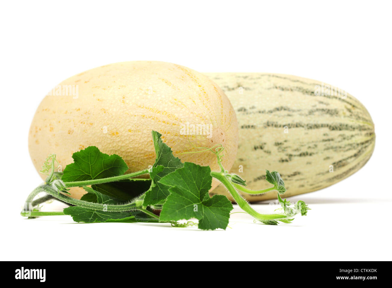 torped melon isolated on white Stock Photo