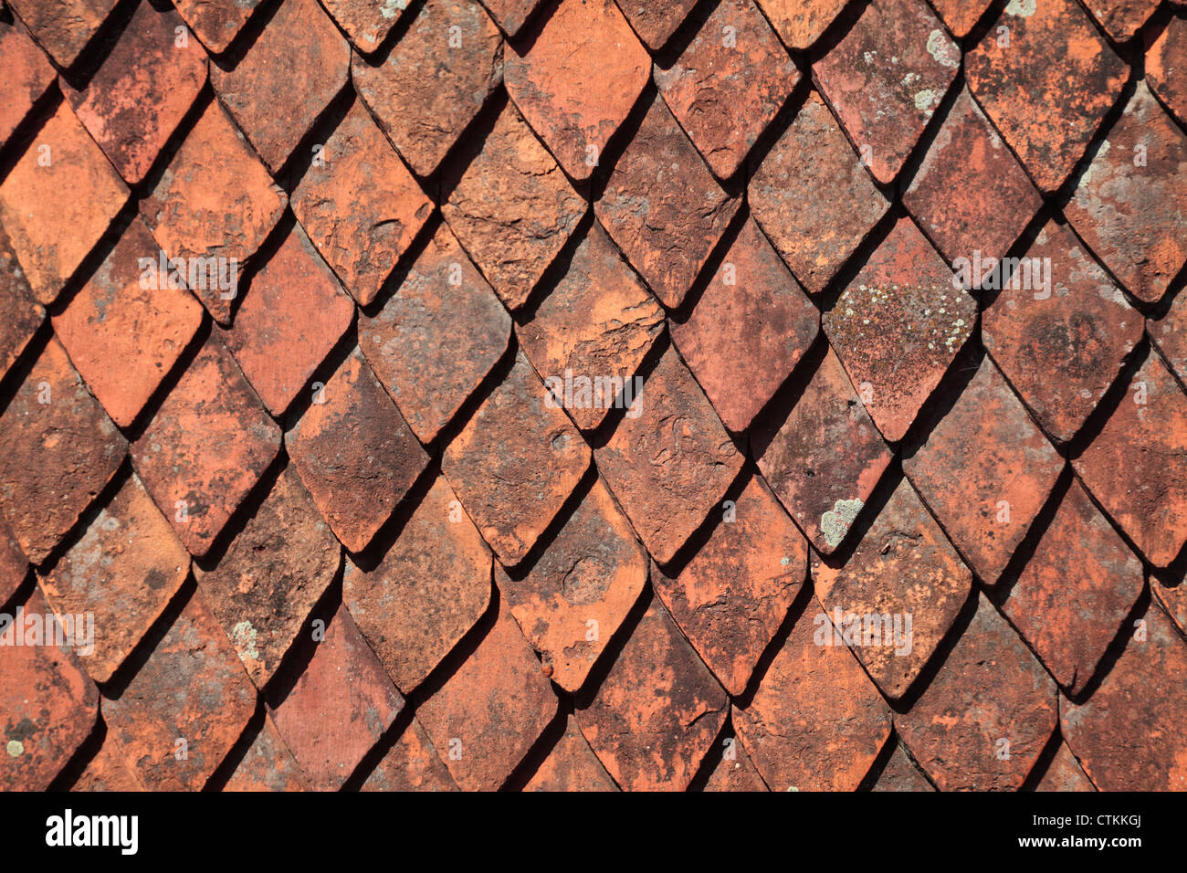 Terracotta roof tiles in the citadel in Rasnov, Romania Stock Photo