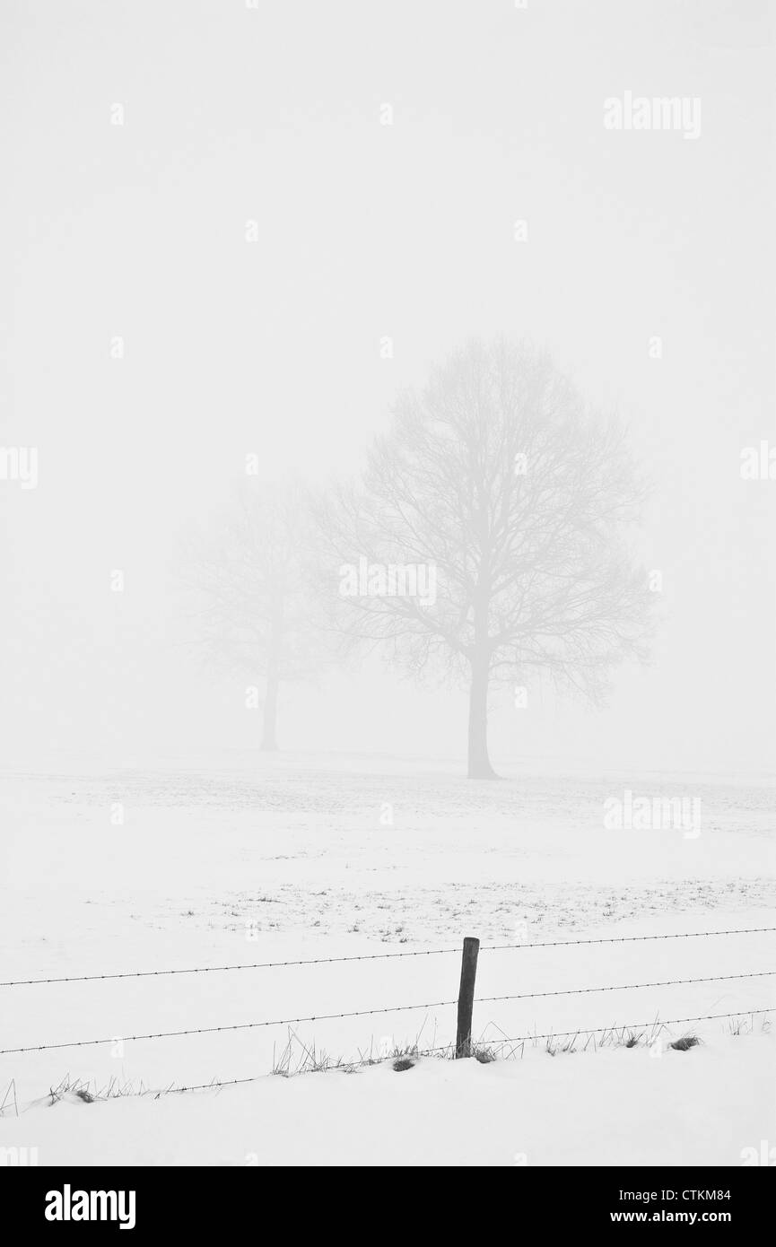 Snow Fading Fading ice hi-res stock photography and images - Alamy