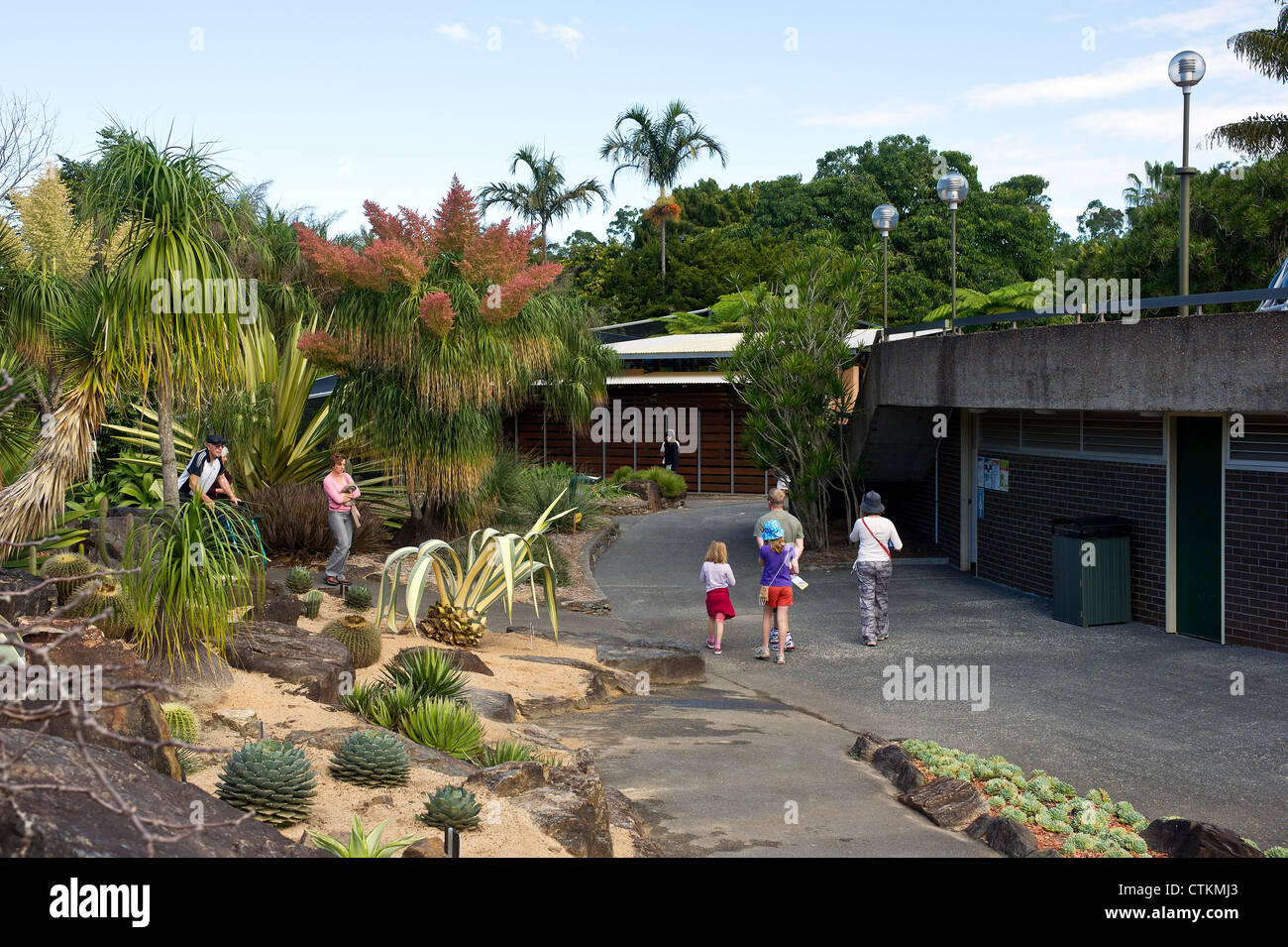 The Brisbane Botanic Gardens in Queensland in Australia. Stock Photo