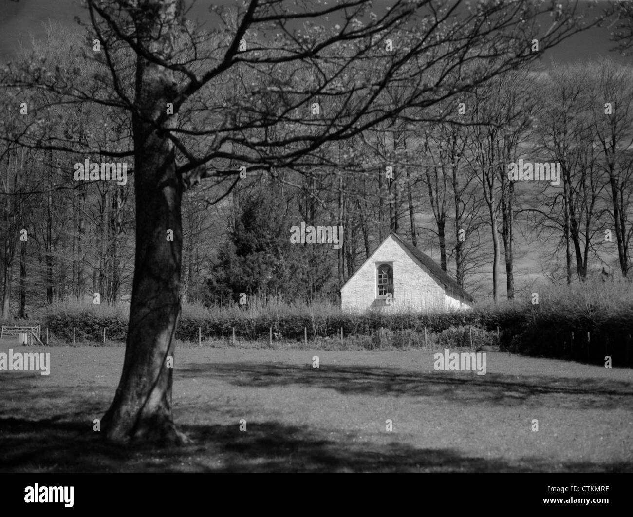 ST FAGANS NATIONAL MUSEUM OF HISTORY CARDIFF UK visual data 7