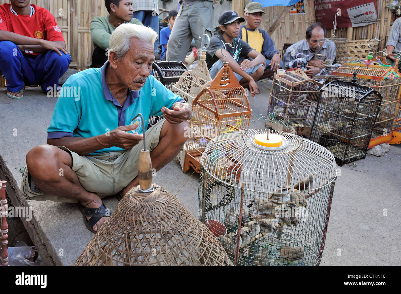 Men selling birds at asian bird market Stock Photo Alamy