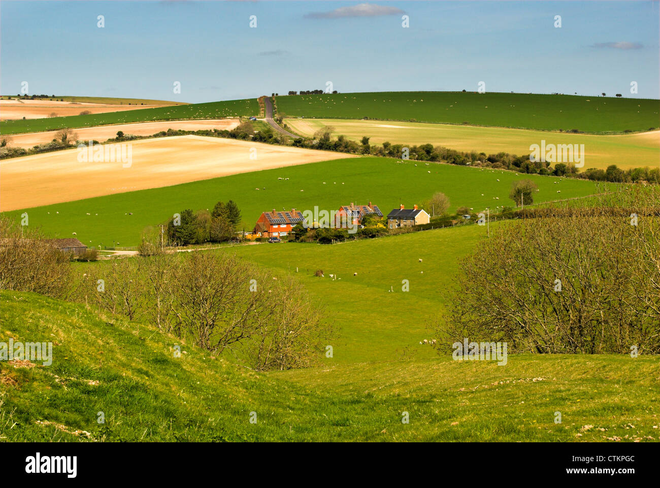 Farm buildings and housing in the South Downs National Park in West