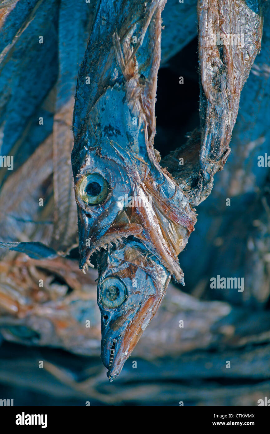 Dry fishes, Market, Miao, Arunachal Padesh, India Stock Photo