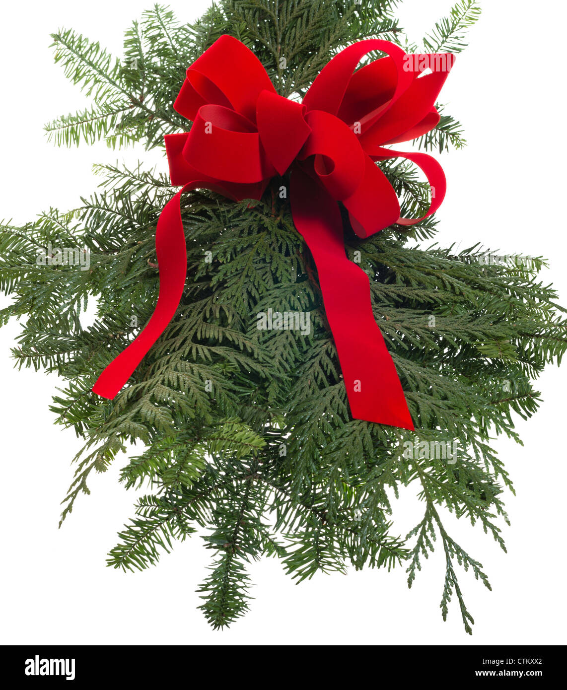 Christmas decoration of live greens with a red bow Stock Photo