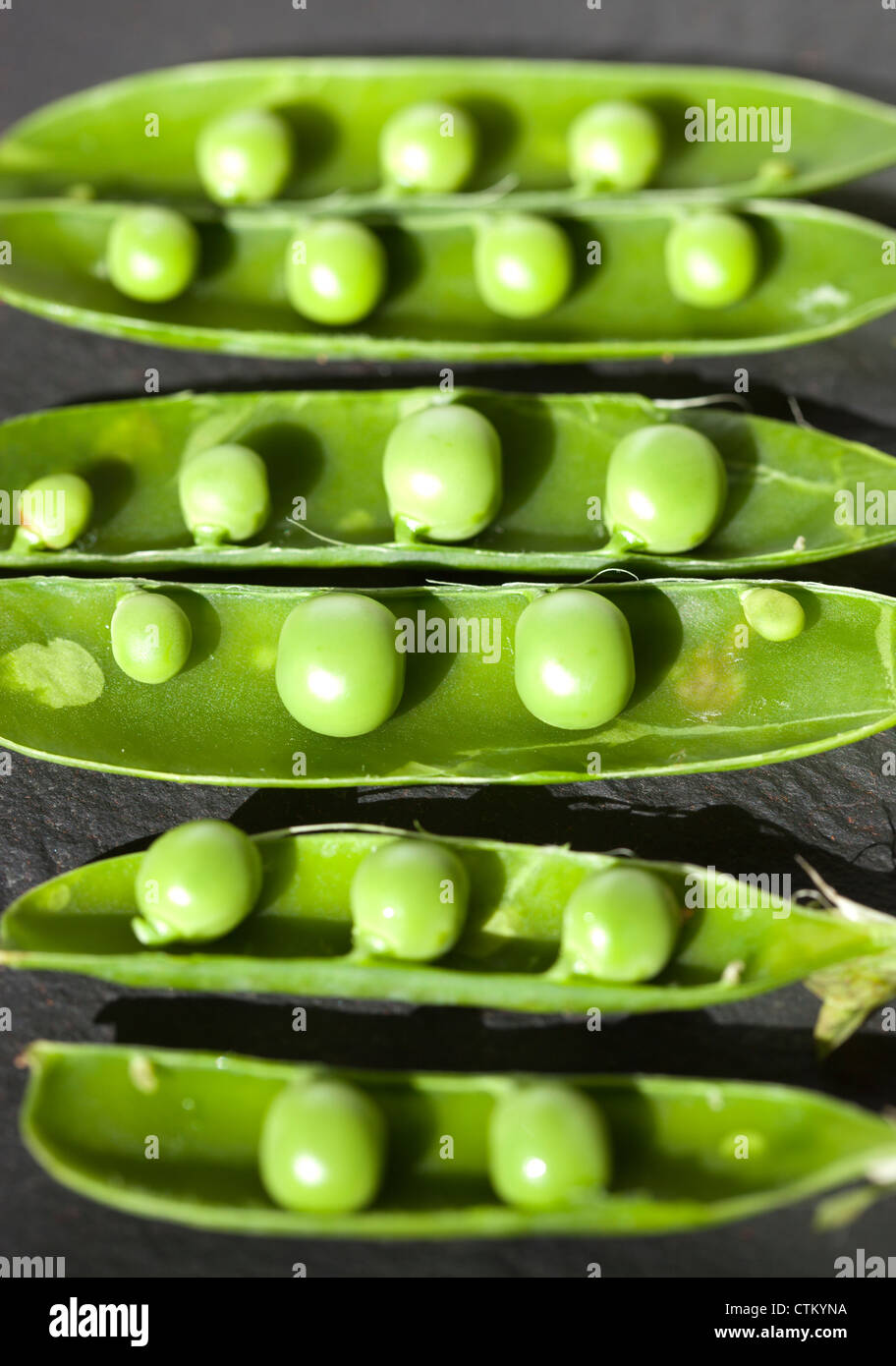 Green Peas in pods Stock Photo