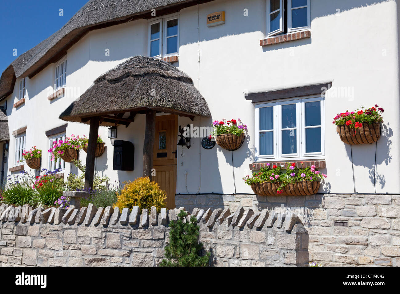 Modern houses in a traditional thatched style, Tolpuddle, Dorset Stock