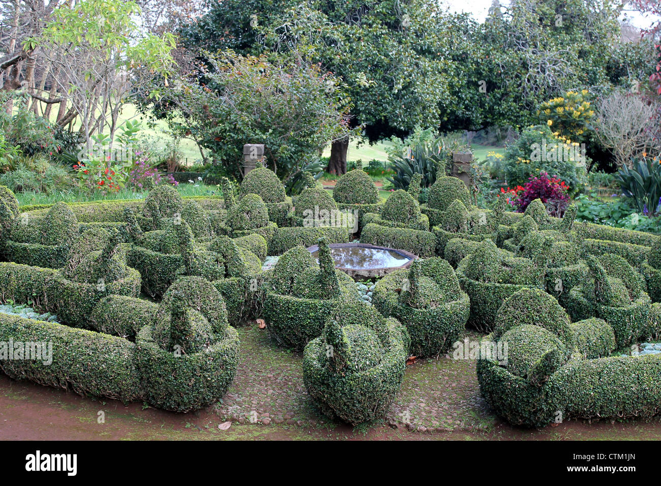 Carved hedges in a Madeiran garden, Funchal Stock Photo