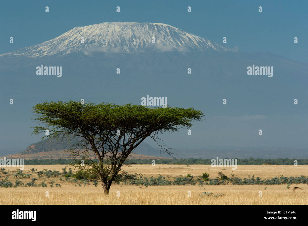 The plains of Amboseli below a snow capped Kilimanjaro Stock Photo