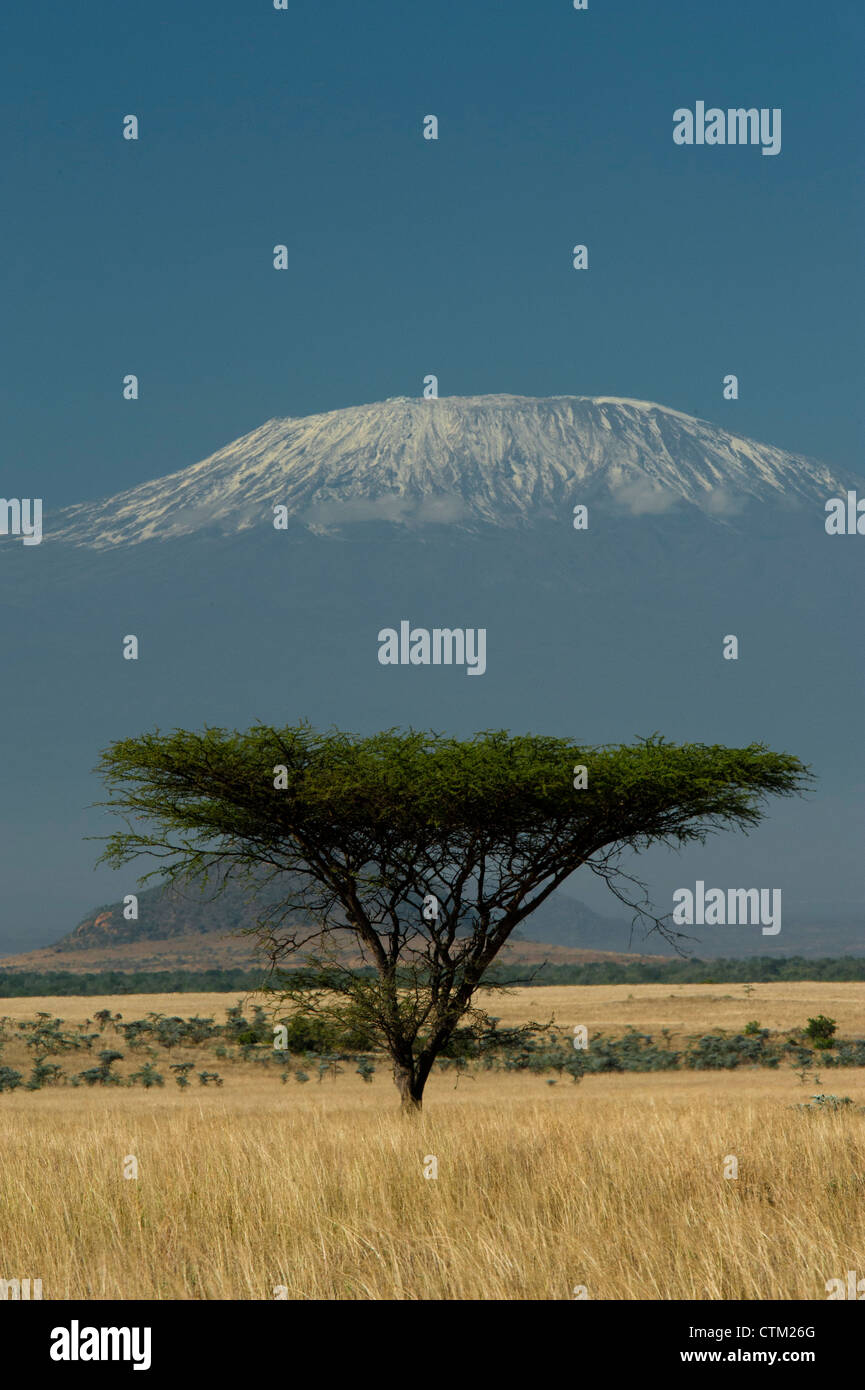 The plains of Amboseli below a snow capped Kilimanjaro Stock Photo