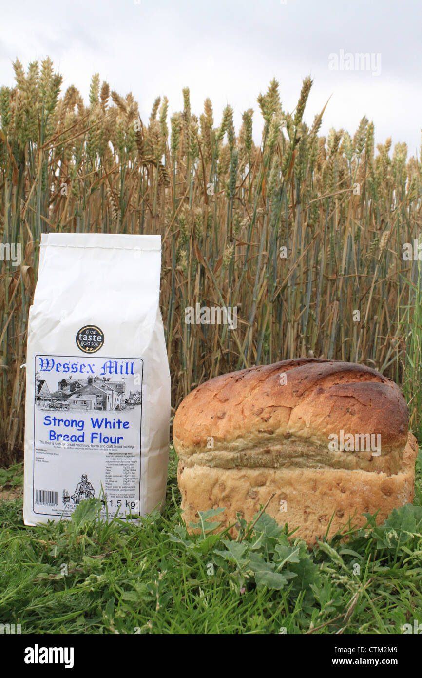 White Bread Flour Stock Photo Alamy