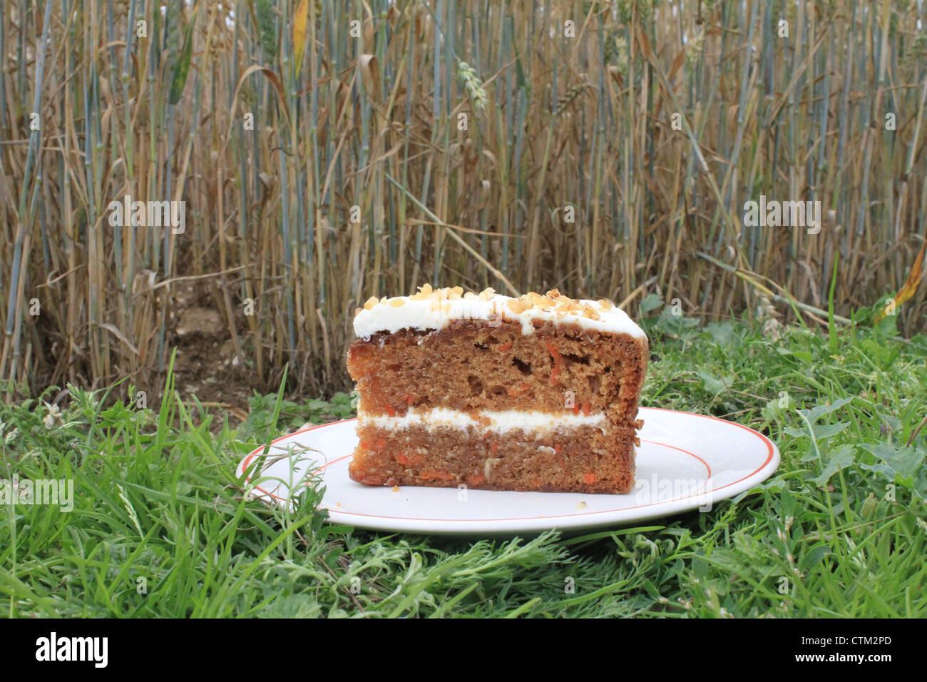 Slice Of Cake Stock Photo Alamy slice-of-cake-stock-photo-alamy