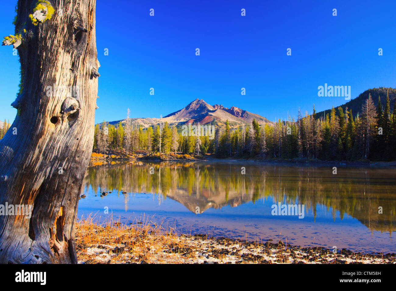 Frost At Sparks Lake And Broken Top In The Three Sisters Wilderness; Oregon, United States of America Stock Photo