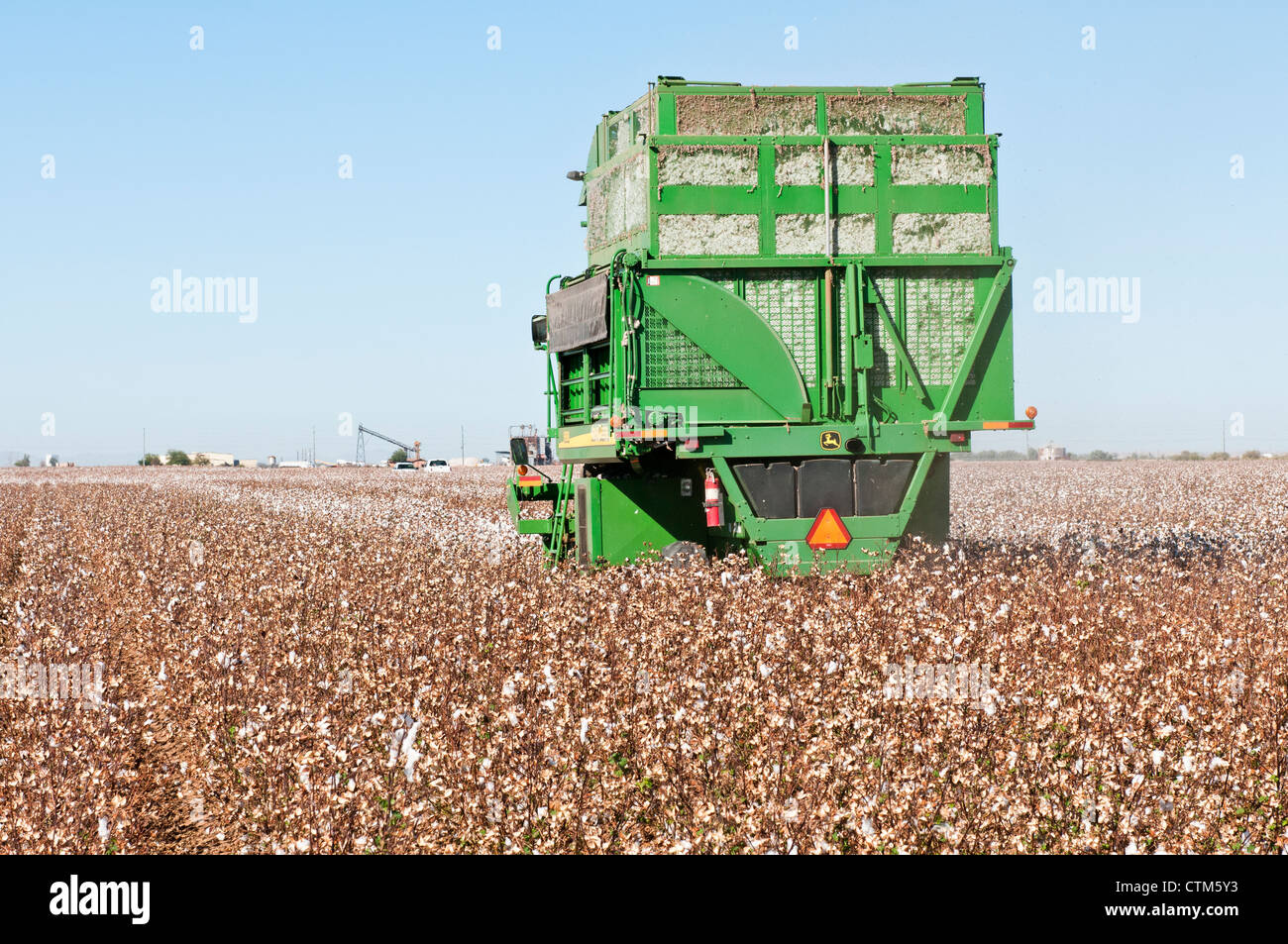 A cotton picker harvests defoliated cotton plants in a field in Arizona Stock Photo