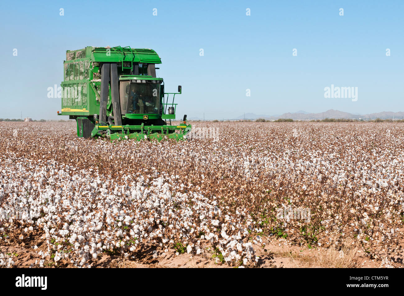 A cotton picker harvests hires stock photography and images Alamy